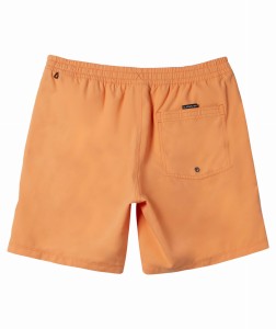 Boardshorty Quiksilver 2024 Everyday Sol B Njf