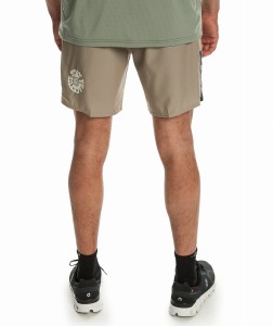 Boardshorty Quiksilver 2024 Omni Training Tmb0