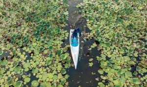 SUP Starboard 2024 WATER LINE LITE TECH