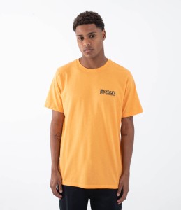 Koszulka Hurley 2025 Magic Ss Orange.jpeg