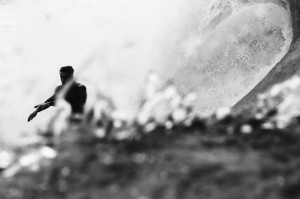 48252-4405_3T0A8931_bw.jpg