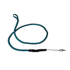 Leash Mystic 2025 Wingleash teal.png