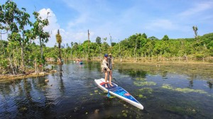 2025-Starboard-SUP-Waterline-main-key-feature-Action.jpg