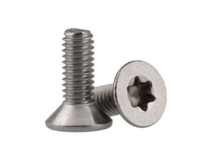 pol_pm_Srubki-zestaw-F-One-Torx-Screws-M6-6mm-4szt-45238_1.jpg