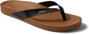 REEF(4).png