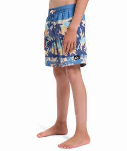 EQBJV03501 BLQ8 Alternate 2.png