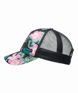 ERGHA03349 KVJ9 Secondary High Res.png