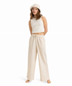 ERJNP03636 TEC0 Primary High Res.png