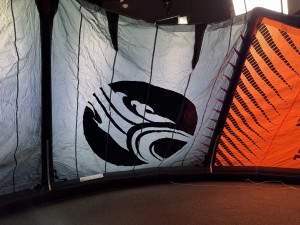 IMG_1464.jpg